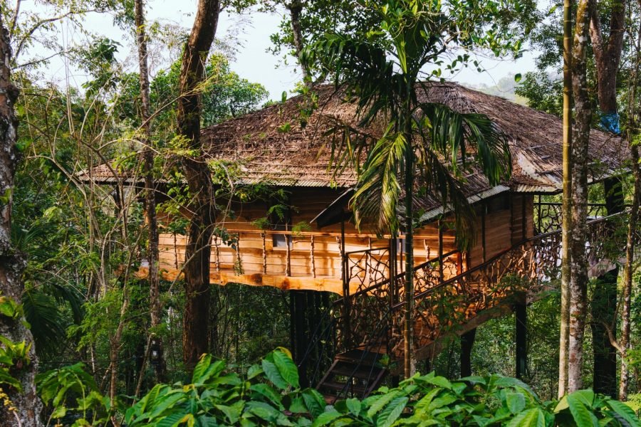 Delightful Package to Wayanad Nature