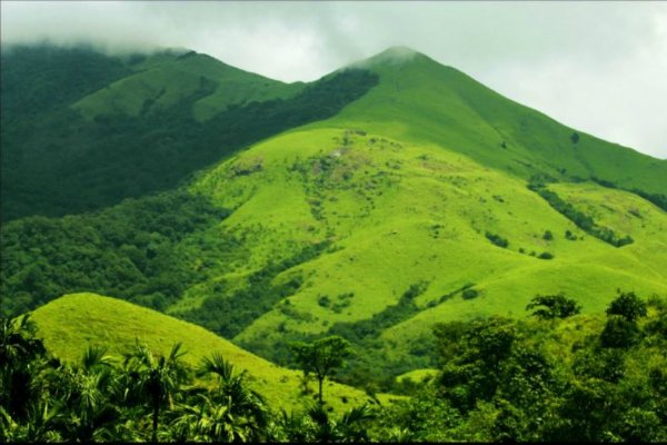 Pushpagiri Wildlife Sanctuary